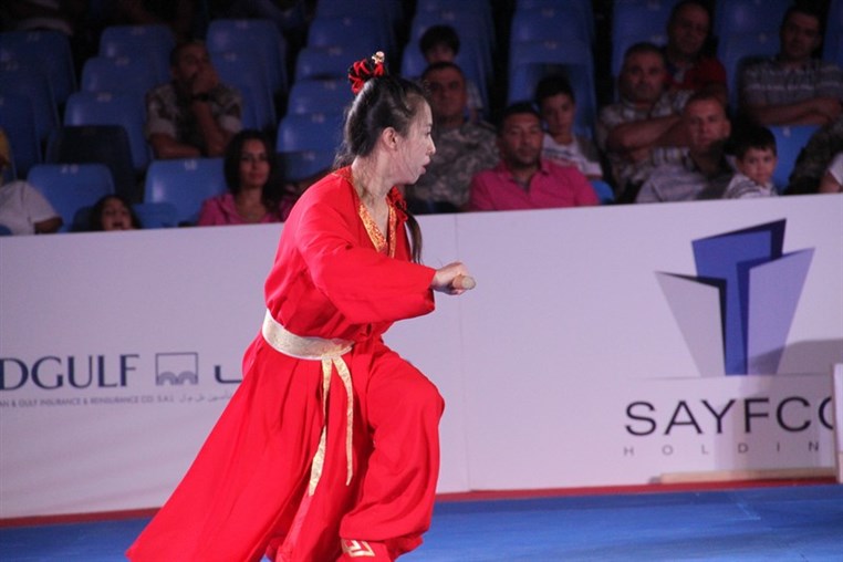 Martial Arts Festival